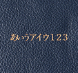 日本語（游明朝）